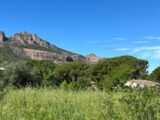 Terrain à Roquebrune-sur-Argens  Maisons France Confort