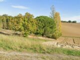 Terrain à Drémil-Lafage  Maisons France Confort