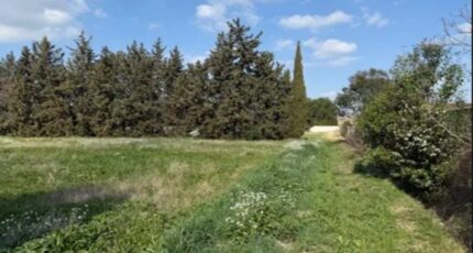 Avignon Terrain à bâtir -  Maisons France Confort
