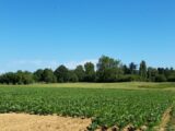 Terrain à Boullay-les-Troux  Maisons France Confort