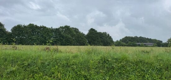 Terrain à bâtir à Cossé-le-Vivien, Pays de la Loire