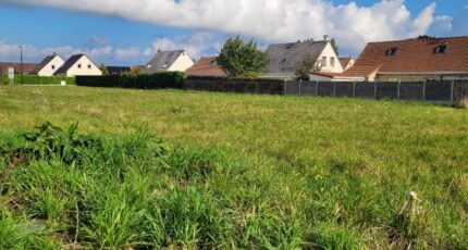 Audruicq Terrain à bâtir -  Maisons France Confort