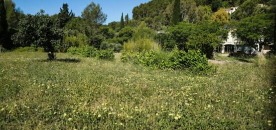 Terrain à bâtir à Solliès-Pont, Provence-Alpes-Côte d'Azur