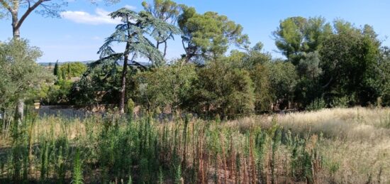 Terrain à bâtir à Cournonterral, Occitanie