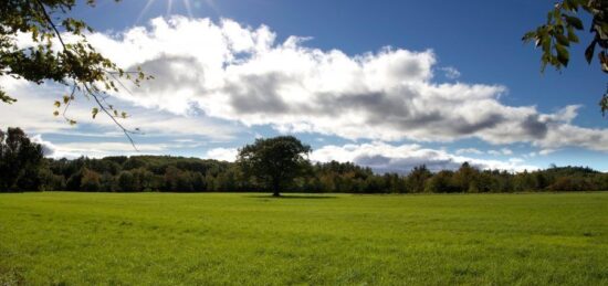 Terrain à bâtir à Notre-Dame-d'Oé, Centre-Val de Loire