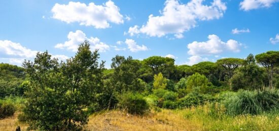 Terrain à bâtir à Fréjus, Provence-Alpes-Côte d'Azur