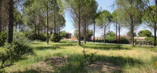 Terrain à bâtir à Roquebrune-sur-Argens, Provence-Alpes-Côte d'Azur