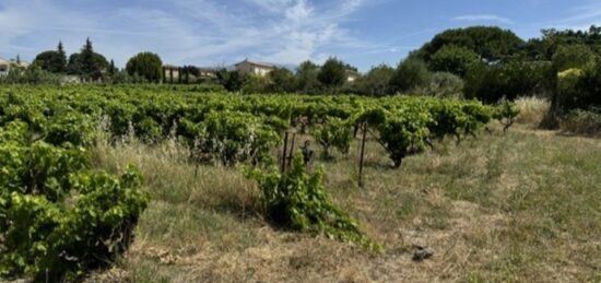 Terrain à bâtir à Mazan, Provence-Alpes-Côte d'Azur