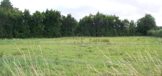 Terrain à bâtir à Saint-Crépin-Ibouvillers, Hauts-de-France