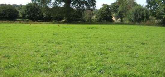 Terrain à bâtir à Esquay-sur-Seulles, Normandie