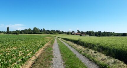 Boullay-les-Troux Terrain à bâtir -  Maisons France Confort
