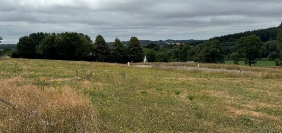 Terrain à bâtir à Saint-Georges-Buttavent, Pays de la Loire