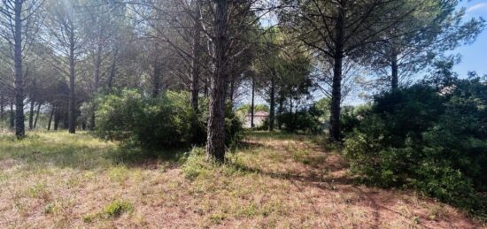 Terrain à bâtir à Roquebrune-sur-Argens, Provence-Alpes-Côte d'Azur